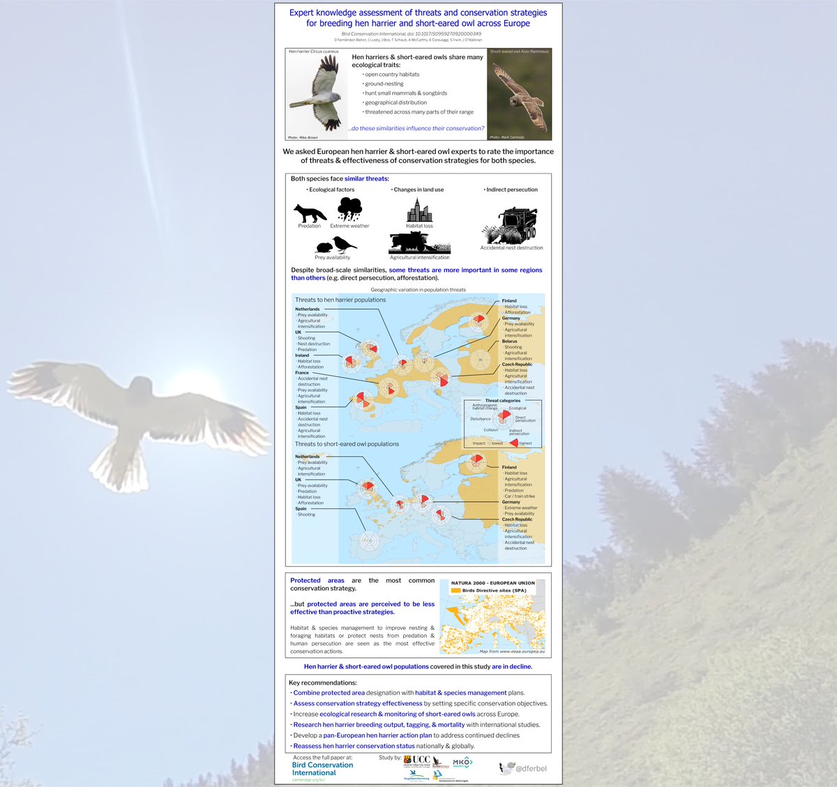 New paper using expert knowledge to study European hen harrier &amp; short-eared owl #conservation (a thread).

#OpenAccess paper in <a href="/BirdLife_News/">BirdLife International</a> Bird Cons Intl: doi.org/10.1017/S09592…

Work done <a href="/uccBEES/">Biological, Earth & Environmental Sciences, UCC</a> <a href="/eriucc/">Sustainability Institute</a> <a href="/mkoresearch/">MKO Research</a> <a href="/BirdWatchIE/">BirdWatch Ireland</a> <a href="/vogelnieuws/">Vogelbescherming NL</a> <a href="/grauwekiek/">Grauwe Kiekendief - Kenniscentrum Akkervogels</a>

#ornithology