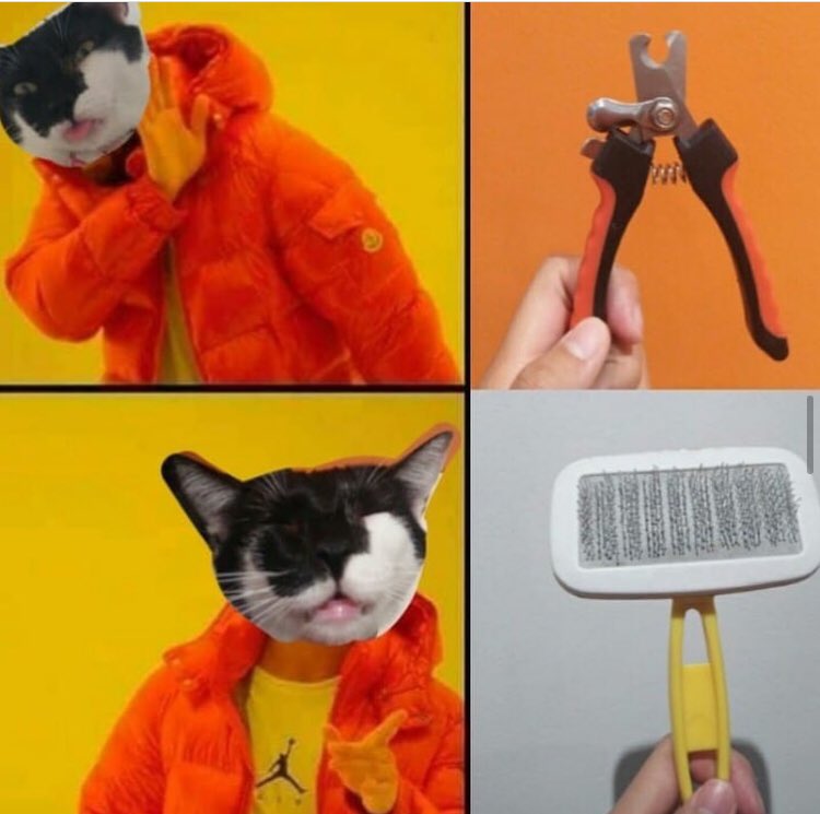 catsandcrumbs's tweet photo. YOU’RE A PET PURRENT IF YOU GET THIS 😹 Any tips you wanna share or questions you’ve got about cat/pet care?

Let’s talk! Comment below👇🏻and let’s help each other towards #responsiblepetownership 😻

#catsandcrumbs #catcafe #Marikina #adoptdontshop #iSupportPAWS #cats #puspin https://t.co/xQl7yMdn9N