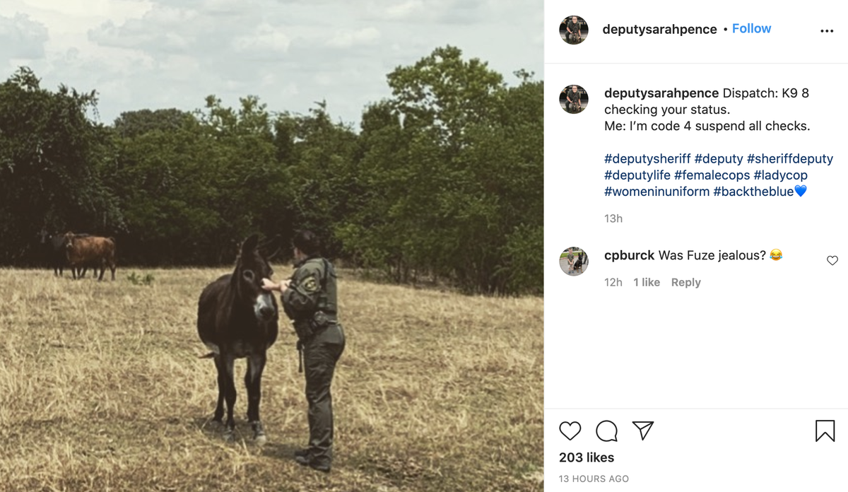 buddy_falcon's tweet photo. She took time to post on Instagram, too.  Makes me wonder, who took the picture? Instagram says 12 hours ago. https://t.co/WJbgAzKsHG