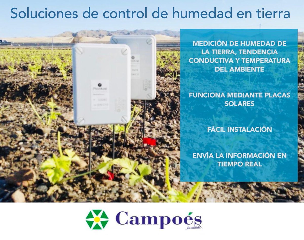 Campoés tweet media