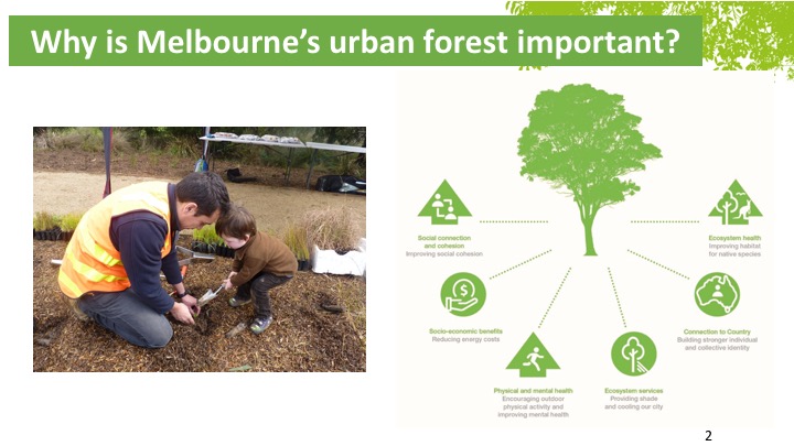 Resilient Melbourne tweet media