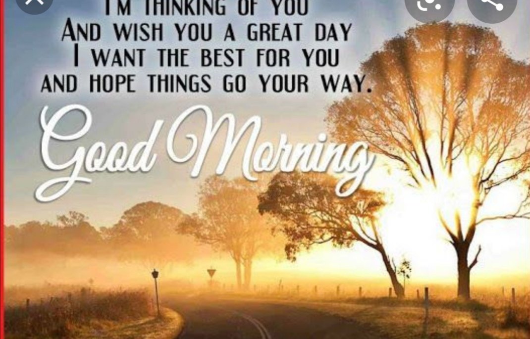 Healing Scent Oils & Accessories (@oilsscent) on Twitter photo 