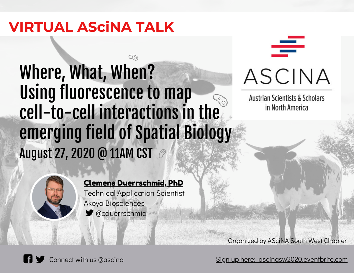 ASCINA_NYC's tweet photo. We have a great lineup of @ascina #VirtualTalks this summer #AustrianScientistsInUS

Greater Boston Chapter - @livia_tomova @MIT 

Greater NY Chapter - @DanielStadlb @IcahnMountSinai 

Next up in August - SW Chapter - @cduerrschmid @AkoyaBio 

Sign up here https://t.co/uhrex7Q8ty https://t.co/0mcVmA2gMZ