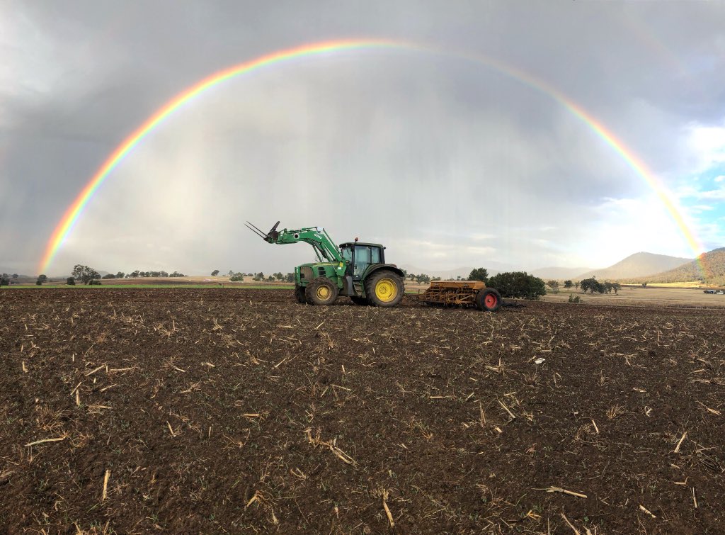 Fingers crossed this crop turns into a pot of gold 🤞🏽 Most likely it’ll turn into triticale silage for the milking herd but we are optimistic 😂🐮🌾🥛
