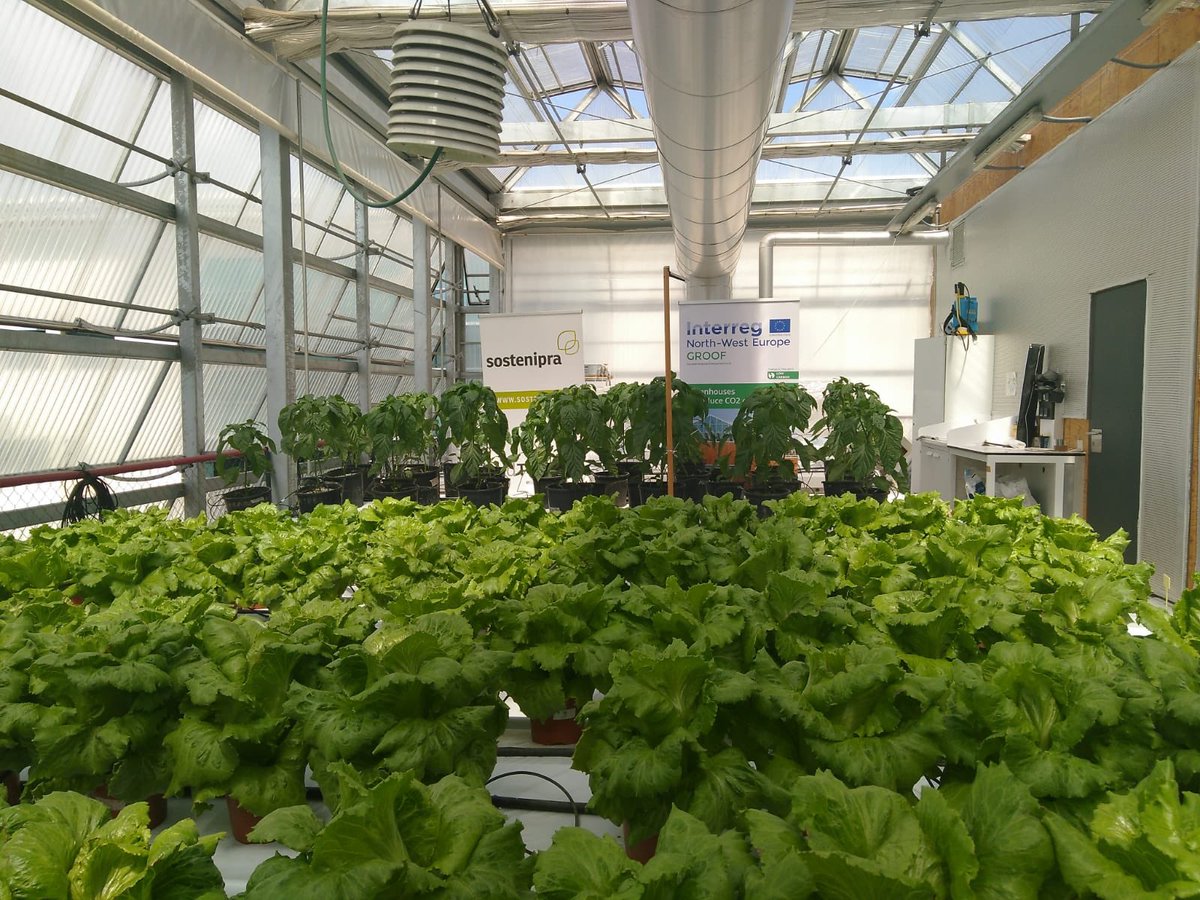 Sostenipra Research Group🌿 tweet media