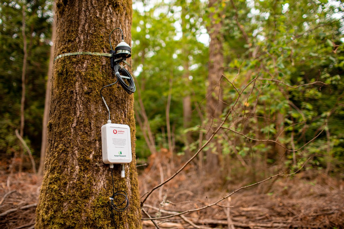 VodafoneUKBiz's tweet image. We've partnered with @DefraGovUK and @Forest_Research to investigate how #NarrowbandIoT (#NBIoT) technology can help monitor tree growth and help to understand/support research estimating their ability to absorb and store carbon from the atmosphere.

vodafone.uk/3hKvW7H