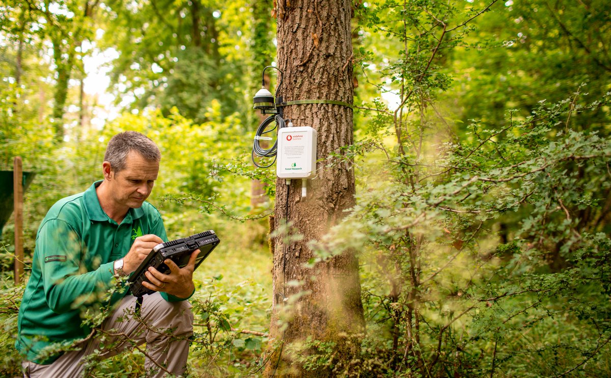 VodafoneUKBiz's tweet image. We've partnered with @DefraGovUK and @Forest_Research to investigate how #NarrowbandIoT (#NBIoT) technology can help monitor tree growth and help to understand/support research estimating their ability to absorb and store carbon from the atmosphere.

vodafone.uk/3hKvW7H