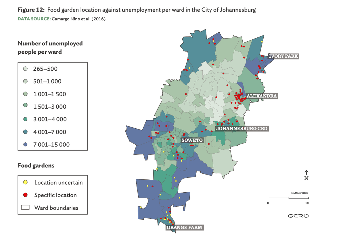 SamKeithLane's tweet photo. What are the benefits of leveraging urban agriculture as green infrastructure? Find out in our report with @UCLSTEaPP &amp; @GCR_Observatory where we looked at the multiple benefits of developing food gardens in the Guateng City Region. https://t.co/9AioYx5y4i https://t.co/uqVuJfEyXZ
