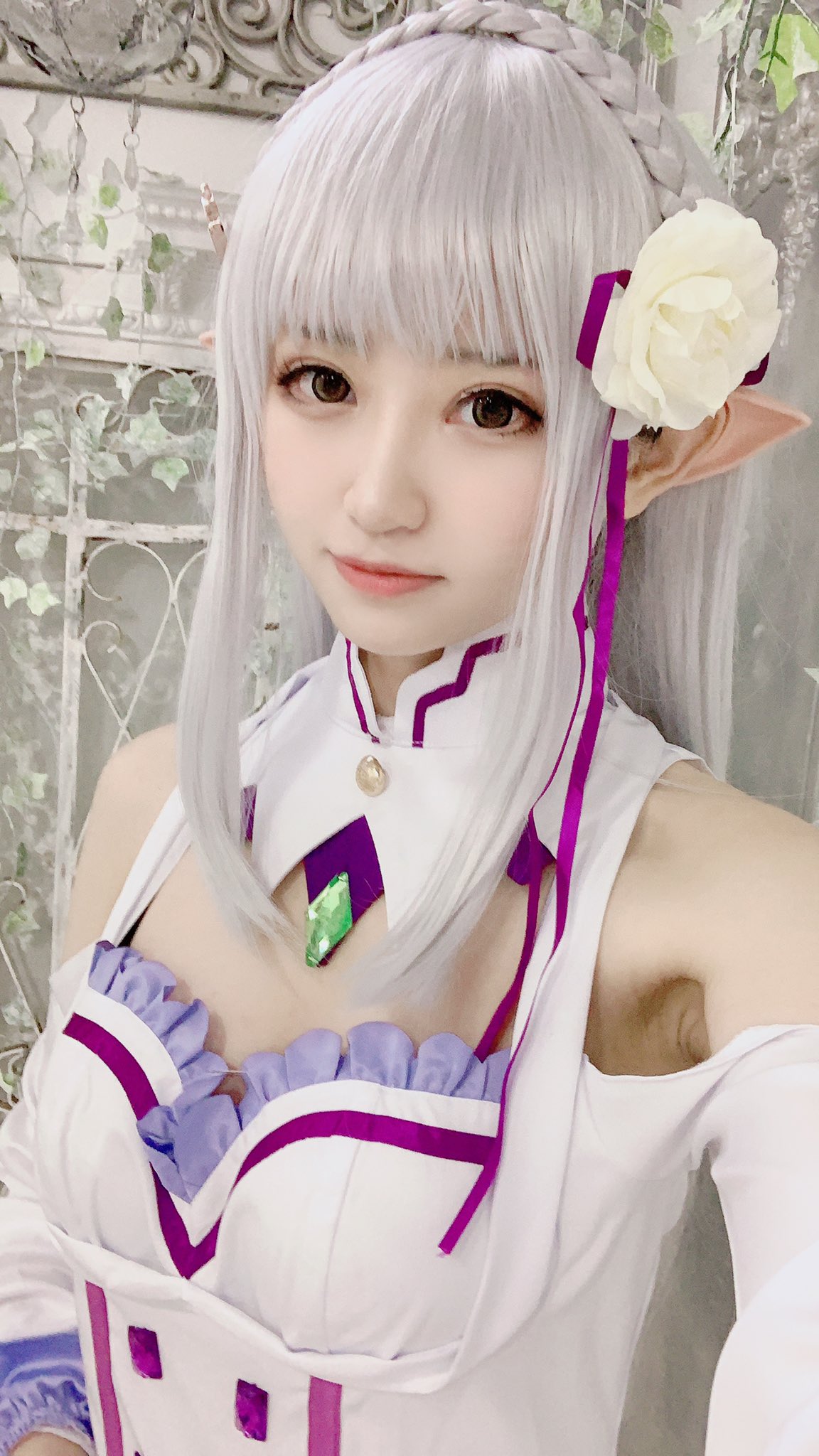 画像,エミリア撮ってきました❗️🥰 https://t.co/954JjRl0e2。