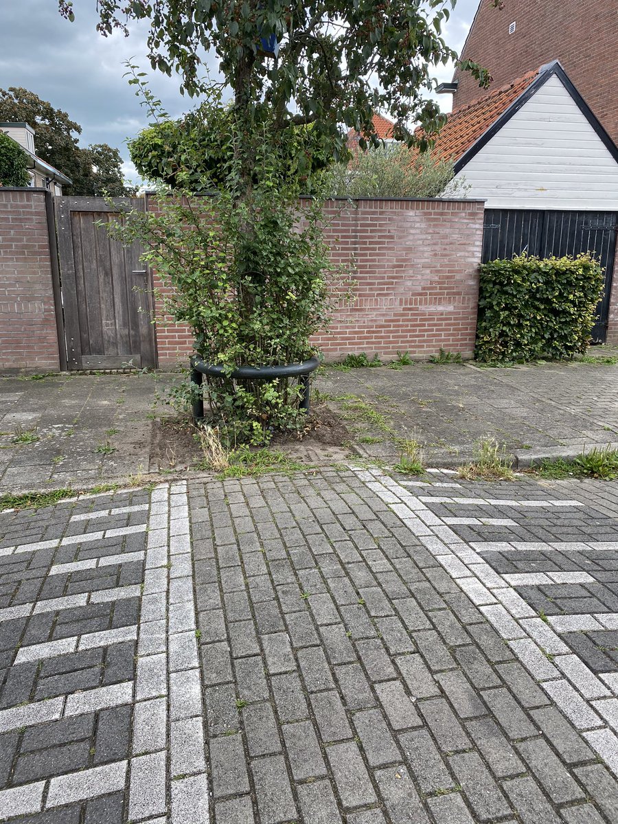 Ans v Brouwershaven tweet media