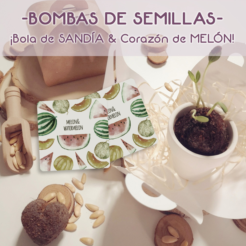 zaida_mares's tweet photo. BOMBAS DE SEMILLAS TROPICALES
Últimas creaciones en materia Nendo Dango: Bola clásica con semillas de Sandía y nuevo formato corazón con semillas de Melón!   
https://t.co/xFA9YdavWk
#summerlife #bombasdesemillas #huertourbano #materialesecologicos #zerowaste #naturalezacreativa https://t.co/JL3GB6ktaL