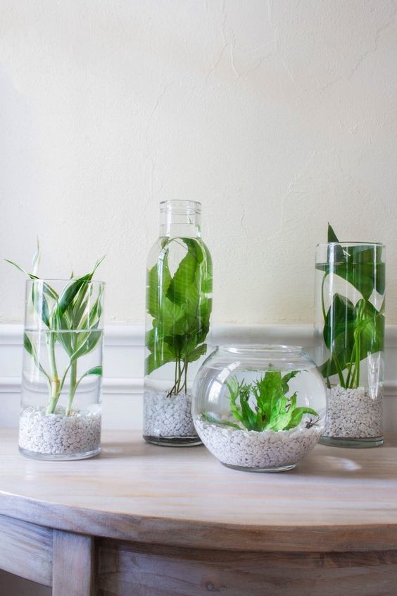 LandscapeEvent's tweet photo. If you ever find your home in need of more calming vibes, just add plants. An indoor water garden gives the look and feel of a serene water feature.
#WaterfeatureWednesday #plants #decor https://t.co/S113HUf7HP