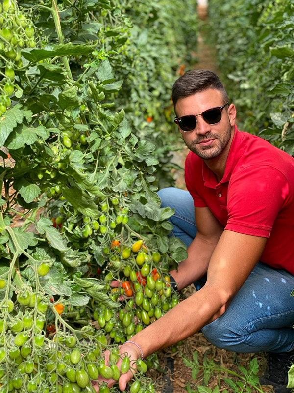 Portagrano's tweet photo. 🆕Javier Oliver, técnico comercial de #Tomatech muestra la nueva variedad de #tomate cherry pera Ultimate https://t.co/wc5TGTjMYI
Bonita morfología acostillada y elevada productividad https://t.co/sDY0NRcHe0