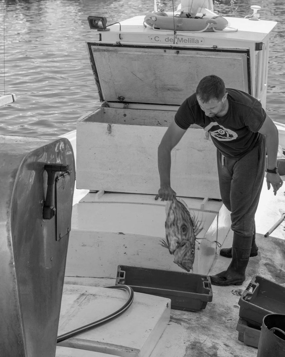 peixnostrum's tweet photo. Detrás de @peixnostrum hay unos profesionales que lo hacen posible 💪🏻 ⚓️ 🎣 https://t.co/Io0oUpMMsV 

#PeixNostrum #GentedelMar #pescatradicional #pescadoderoca #productolocal #km0 #productodeproximidad #PescadodeIbiza #productodetemporada #pescasostenible #Ibiza #Eivissa https://t.co/PN04cfcb8W