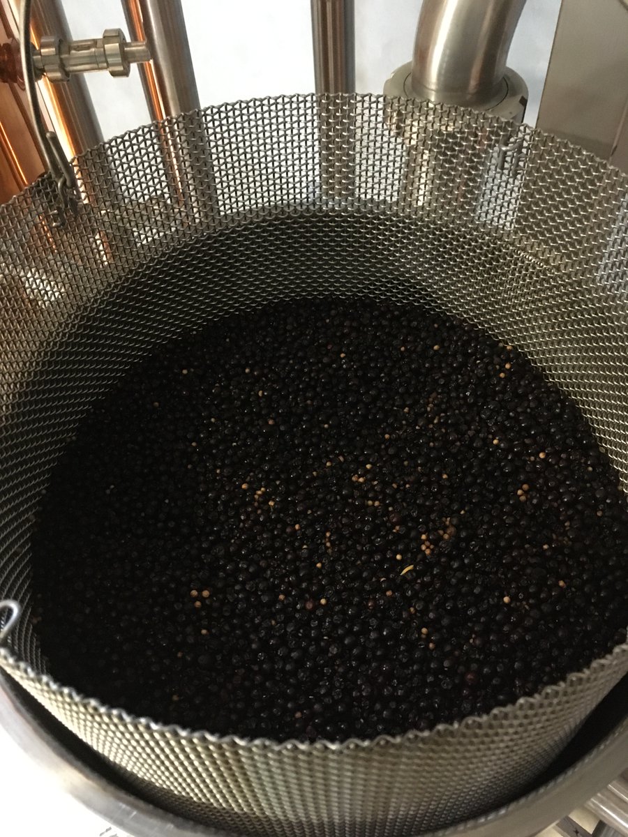 Got juniper? #gin #bordeauxdistillingco <a href="/BdxDistillingCo/">Bordeaux Distilling Co</a>