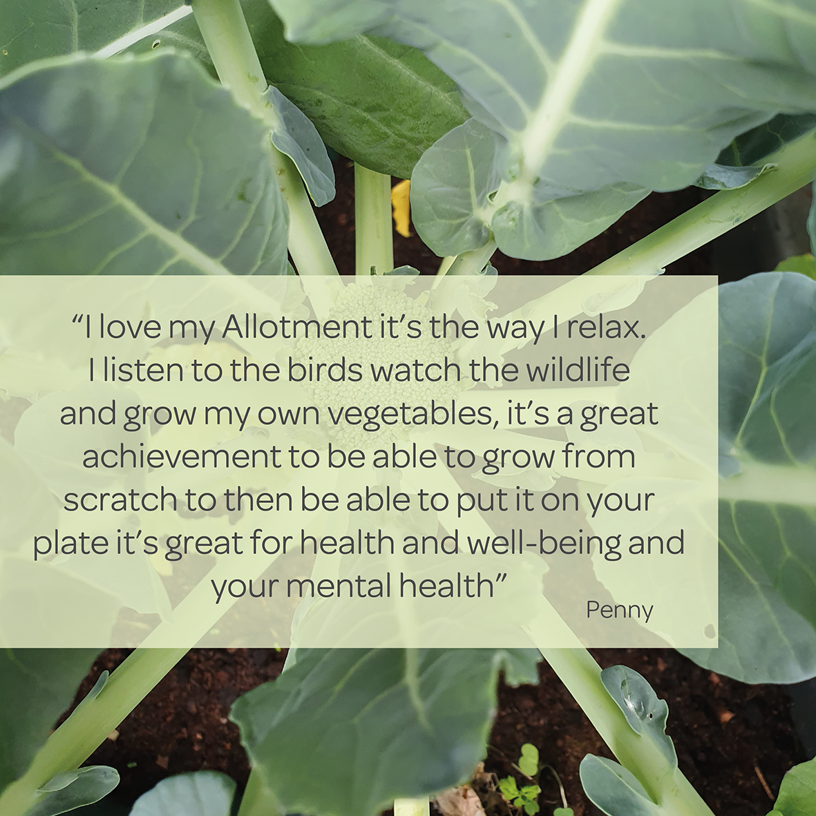 'It takes you away from all the stresses and strains and relaxes your mind I love it. You always meet great people here too' #allotmentconversations #greenspaces #allotmentlife #doingitdifferently