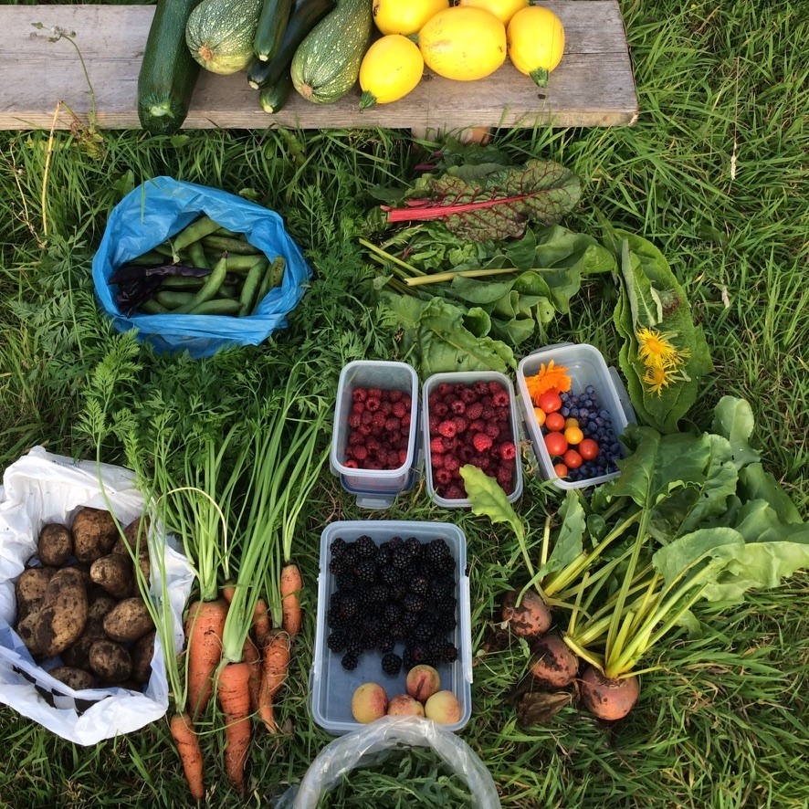Applications are now open for a CAWR fully-funded #PhD studentship exploring the role of agroecology-based community kitchens in building community resourcefulness. 

Application deadline: 7th October – find out more and apply: bit.ly/CommunityKitch… 

<a href="/CovUniResearch/">Coventry University Research and Innovation</a> #COVID19