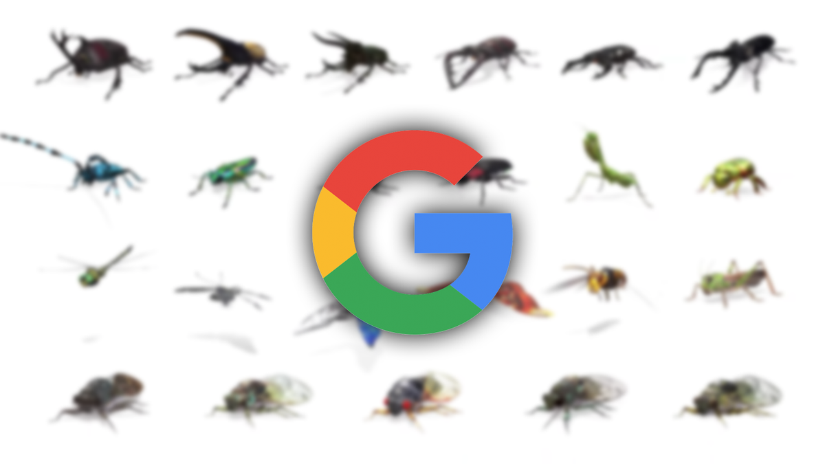 AndroidPolice tweet picture