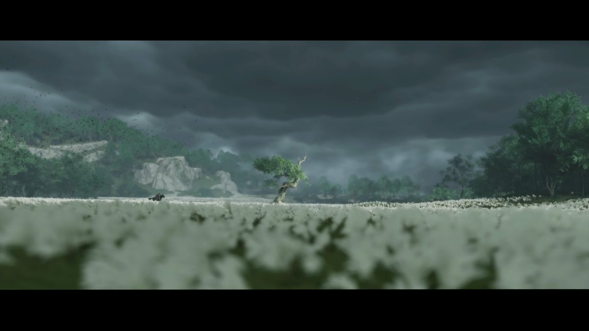 #GhostOfTsushima #PS4share