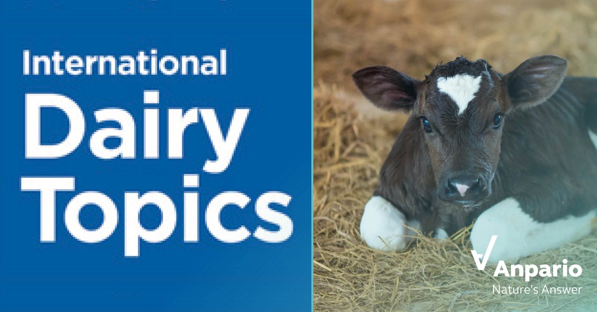 anparioplc's tweet photo. Pre-weaning mortality in #calves is a global economic concern. A recent article in International Dairy Topics discusses getting off to the best start in life and how #OregoStim can help.

Read more: https://t.co/0tNdwX29B7 

#NaturesAnswer #SupportMilkYields #TeamDairy https://t.co/CW7CbiZRew