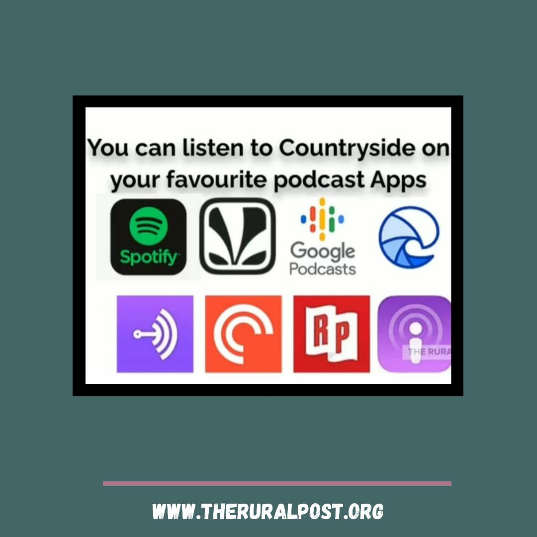 PostRural's tweet photo. Follow us at:
Youtube
https://t.co/B5AM55XAhf
Podcasts:
Spotify
https://t.co/6trEjMfGlT
JioSaavn
https://t.co/n9rkusktbO
Google Podcast
https://t.co/1cxVmqIXPI
Breaker
https://t.co/1QesddATss
Anchor
https://t.co/eGNcYYdvZK
Pocketcast
https://t.co/tBeXIX1KO6 https://t.co/QHdvngVJyR
