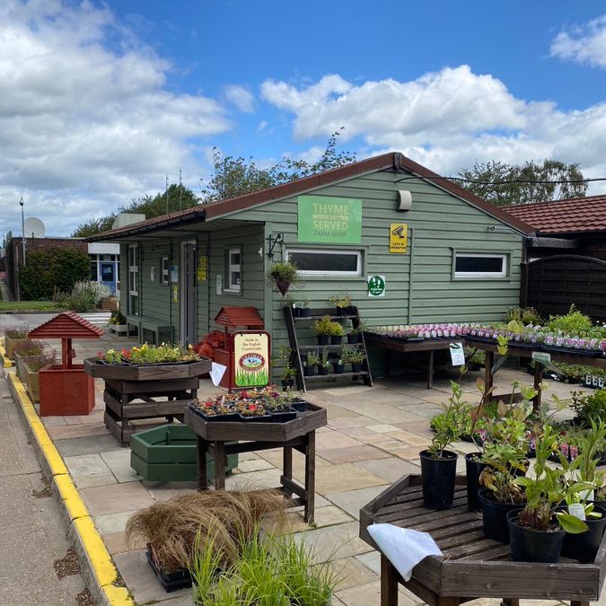 HMPHatfield's tweet photo. SPECIAL OFFER! Now on Sale at #ThymeServed. A wide range of Herbaceous Perennials and Alpines at £1.99 each or 3 for £5! These will provide a welcome splash of colour for any border and / or tubs and planters every year. Come and see us @HMPHatfield. Open 7 days a week. https://t.co/a7Toyw5pOq