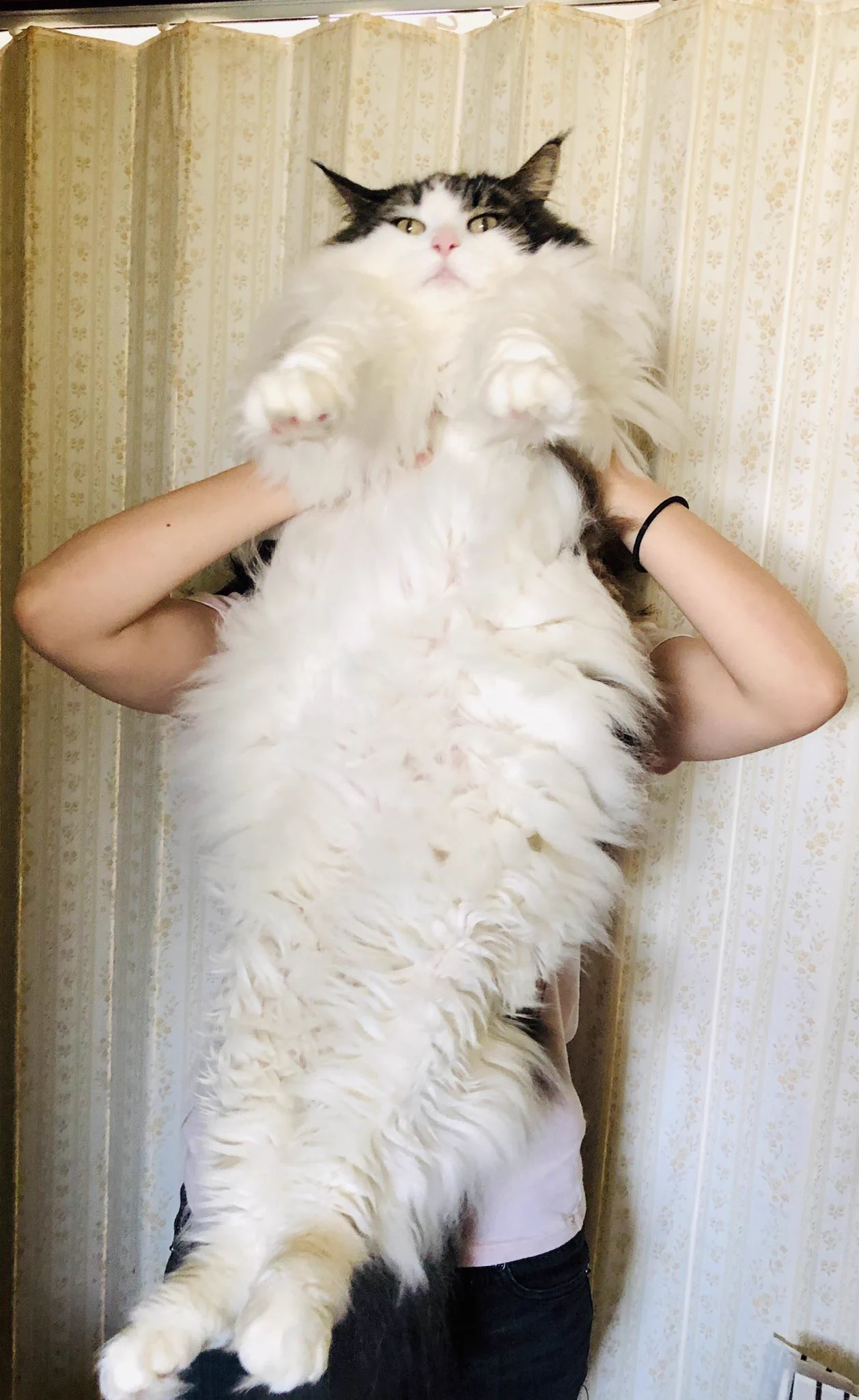 @kantoku_5th 仲間です🐱🙌❤ 