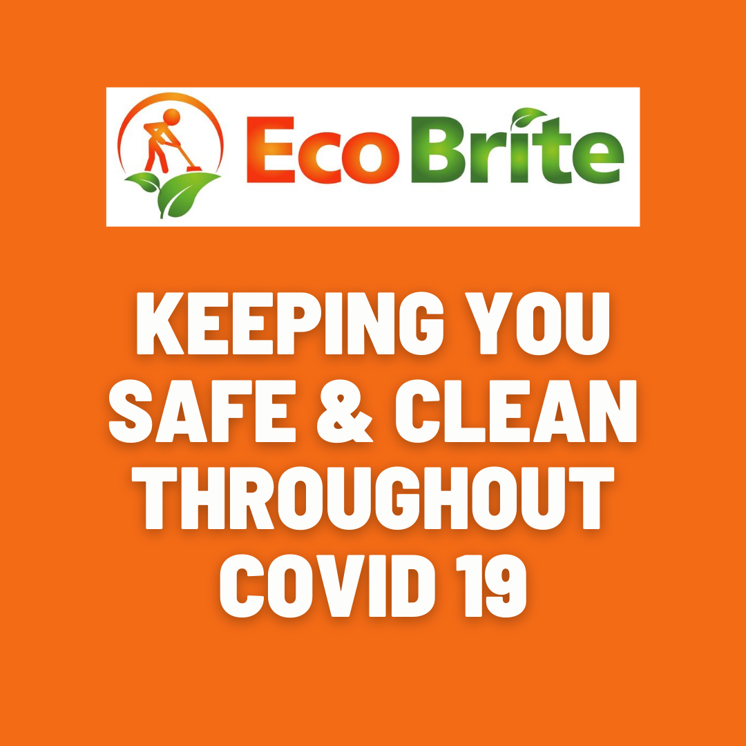 Eco Brite (@eco_brite) on Twitter photo 