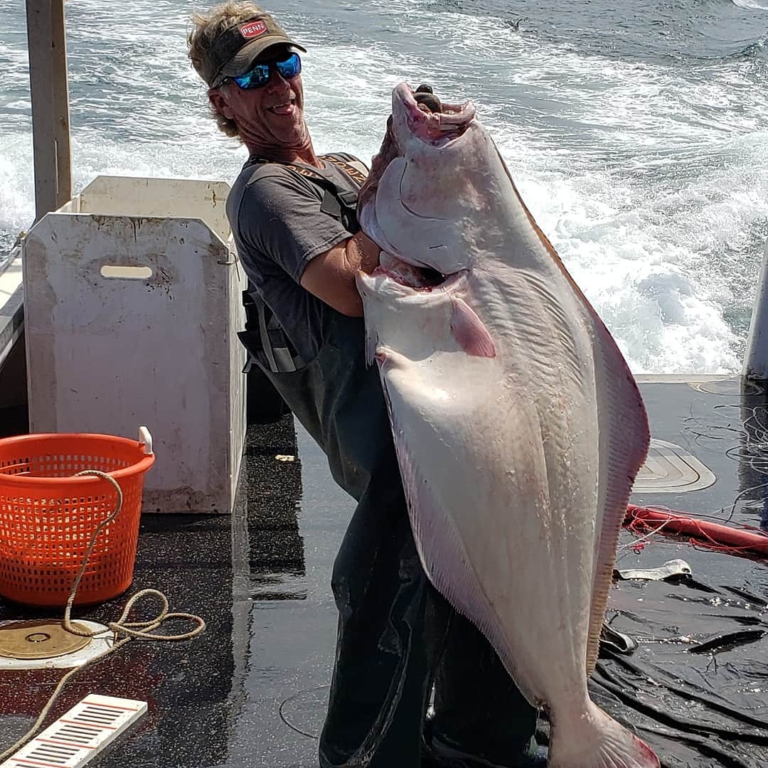 MaineFishermen's tweet image. Yes, you can still get fresh MAINE halibut in the summer! 

The Maine state water halibut season is over, but for boats fishing in federal waters (outside three miles) on groundfish trips they can land one halibut per sailing. 

#themoreyouknow

#eatmaineseafood