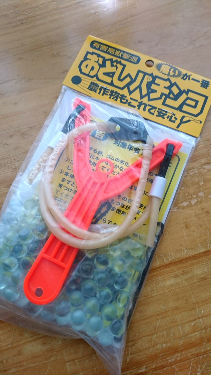 あつだむ キジバトは今までどうり来てもらって カラスだけご遠慮頂くには やっぱり直接威嚇するのが1番かと