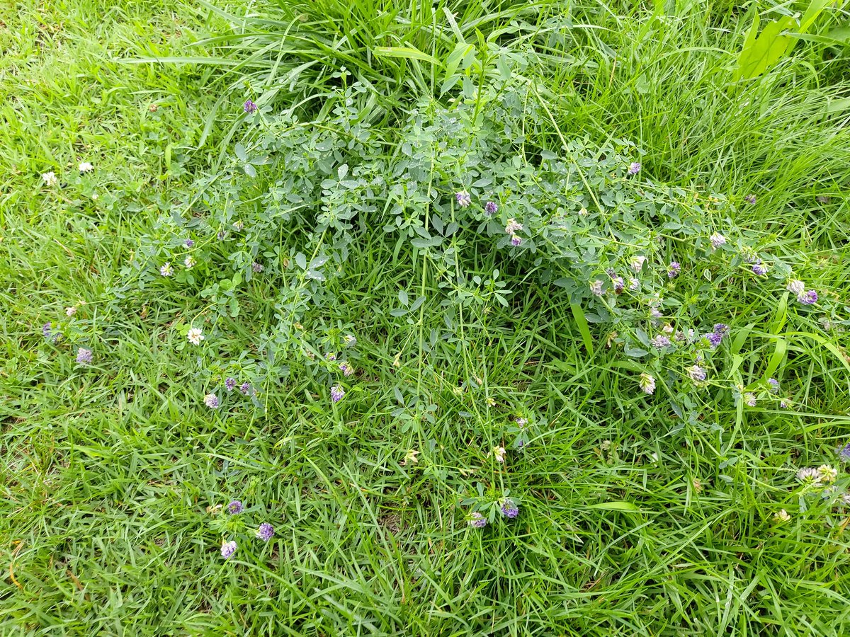 칠월의 끝자락..
언제나 작은 마음에 흔들린다.
바라는 것 없이, 주기만 하는 것들에게.