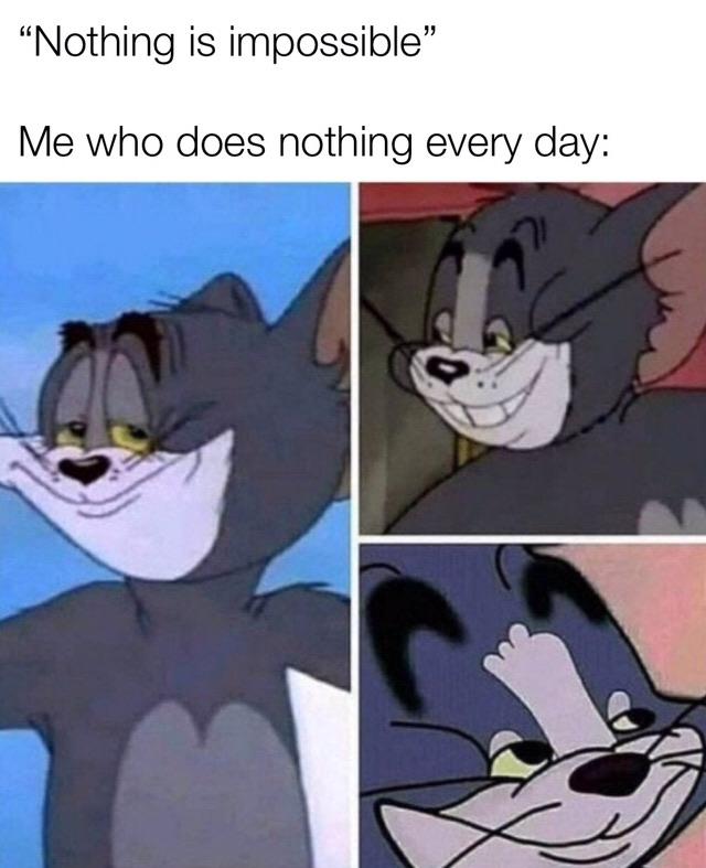 the expert meme the expert meme