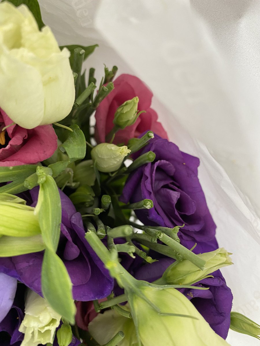 Sarah_EA4's tweet photo. Don’t think I could be more disappointed with the arrival of my Nannas birthday flowers from @waitrose ! I don’t think she’ll appreciate a box of snapped off dead buds, do you? 🙄 https://t.co/71MjeXqSbf