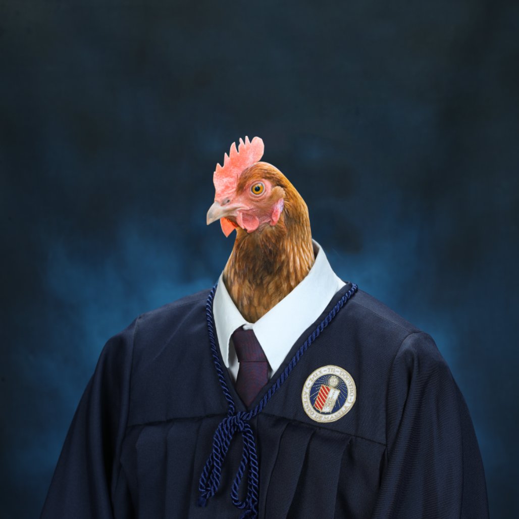 BWingsKFD's tweet photo. congrats everyone! 💙🐔🐣💪

for one last time,
b-wings out

Ateneo de Manok SHS
chicken strand
egg honors https://t.co/j19FFPgxFU