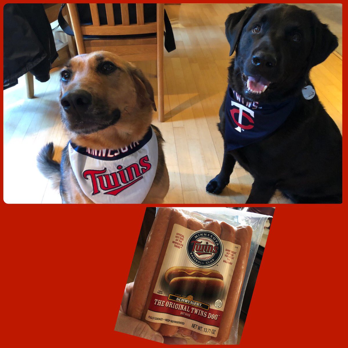 pbrtonic's tweet photo. @DeRushaJ @Twins Stanley and Wilson were prepared for the home opener! https://t.co/mkaEThBuzB