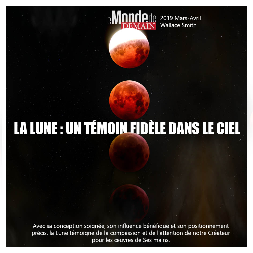 mondedemain's tweet photo. LA LUNE : UN TÉMOIN FIDÈLE DANS LE CIEL
https://t.co/qN5irMDj9l
2019 Mars-Avril
Wallace Smith
#BibleLife #GodsWord #Truth #DailyScripture #BibleGuide #BibleStudy #ChristianQuotes #Christian #ChristianLiving #DailyBibleVerse #Bible #TomorrowsWorld #tomorrowsworldtv https://t.co/tChmCetWFq