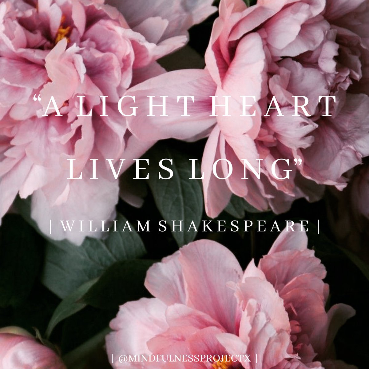 mindfulnessprx's tweet photo. • A  L I G H T  H E A R T •

This quote serves as a reminder of how important it is to set time aside often to do things that make you happy. 

#mindfulness #blog #williamshakespeare 

https://t.co/xBvhoZ5GXn https://t.co/4ncjCnEUHi