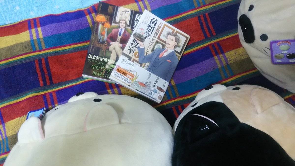 三枝教授のすばらしき菌類学教室 三枝教授のすばらしき菌類学教室