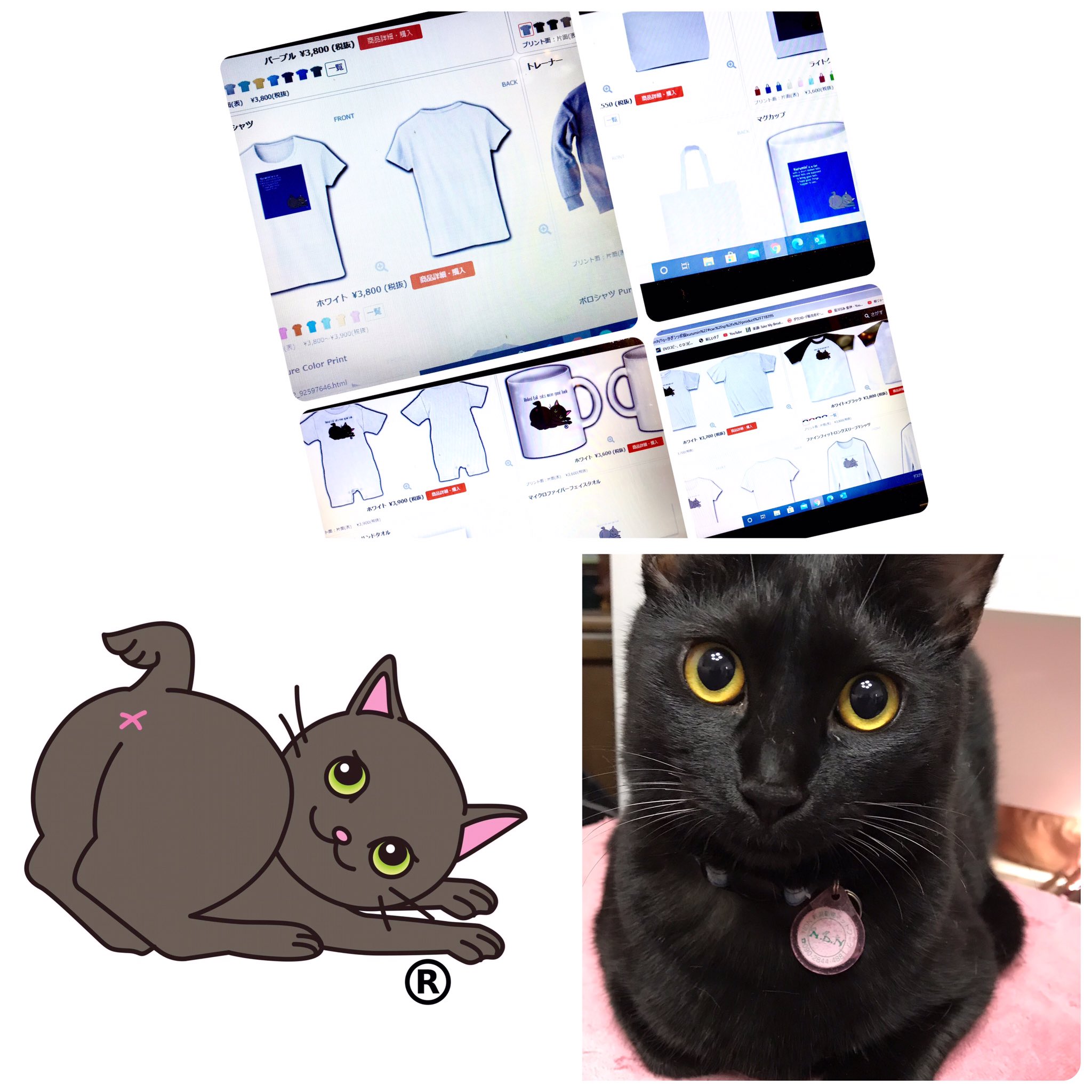 かぎシッポ Twitter Search Twitter