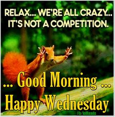 "Relax .. We're all crazy ... Its not a competition" ow.ly/IRY530qWT3q