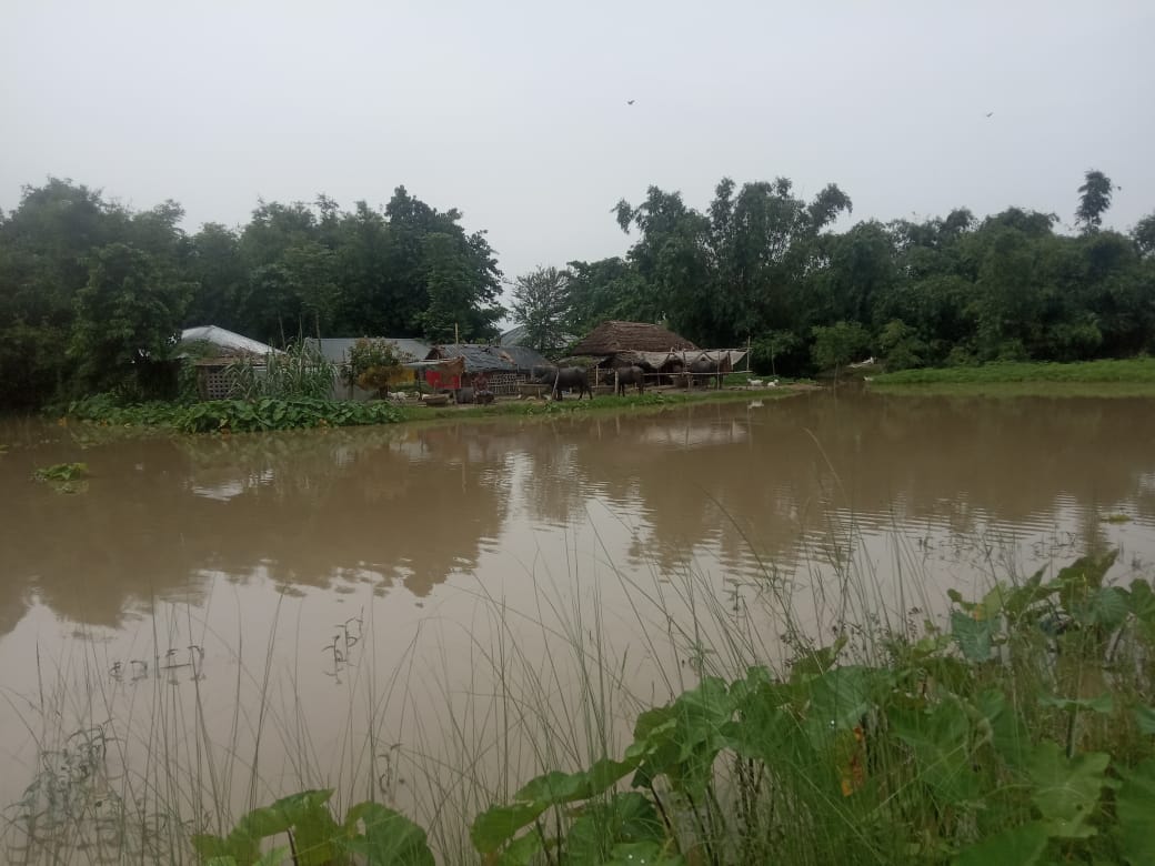 Magadhfdn's tweet photo. #BiharFloods2020 #KosiFloods2020 #SupaulDistrict https://t.co/LmJKGzVwjG