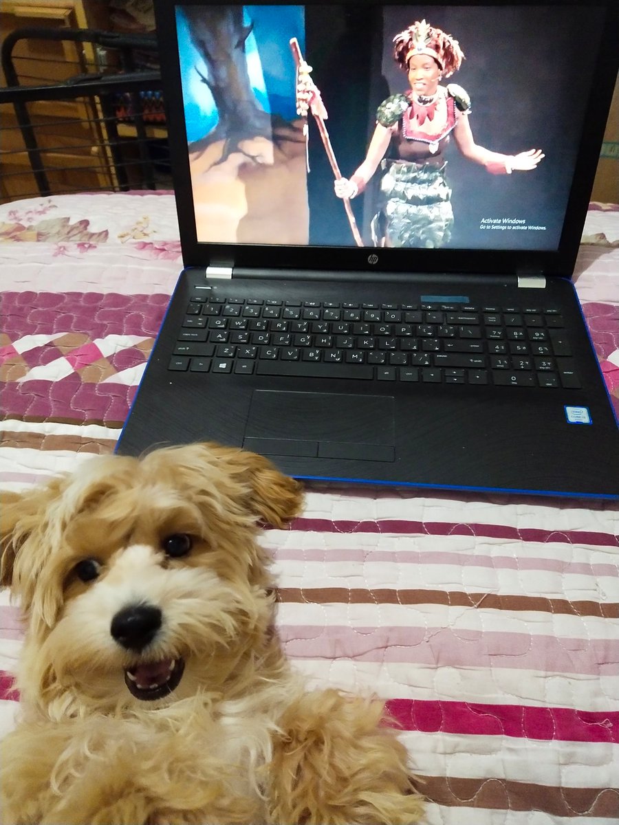 faye_tte's tweet photo. Gary and I are watching Firebringer tonight 🔥 https://t.co/nYU4oYzYGy