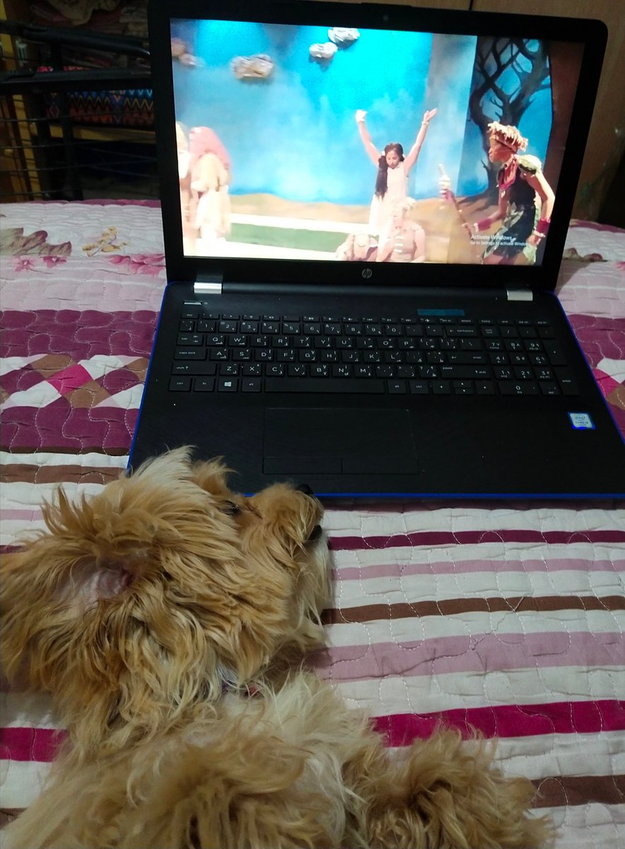 faye_tte's tweet photo. Gary and I are watching Firebringer tonight 🔥 https://t.co/nYU4oYzYGy