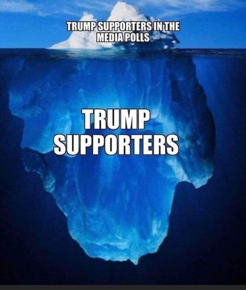 CapeloParty's tweet image. 