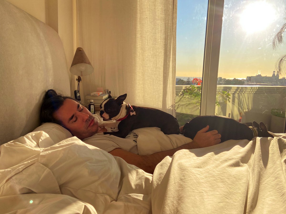 panchovirasoro's tweet photo. Rise and shine! 🌞 @Boston_Society #bostonterrier https://t.co/DfHkoe3wRt