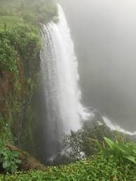 shashank_hbl's tweet photo. One of Wonder Places in the Western Ghats;
 Chikhale water Falls is about 40 kms from Belagavi and is splendid place to see natures bounty. Here we meet or say Hug clouds, walk through smokey fog, In to the green Forest. Never miss if get a chance to visit . . . . https://t.co/ro5Y6MucTI