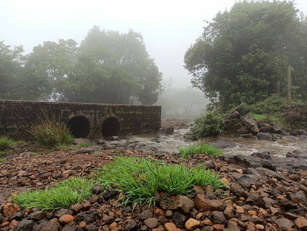 shashank_hbl's tweet photo. One of Wonder Places in the Western Ghats;
 Chikhale water Falls is about 40 kms from Belagavi and is splendid place to see natures bounty. Here we meet or say Hug clouds, walk through smokey fog, In to the green Forest. Never miss if get a chance to visit . . . . https://t.co/ro5Y6MucTI