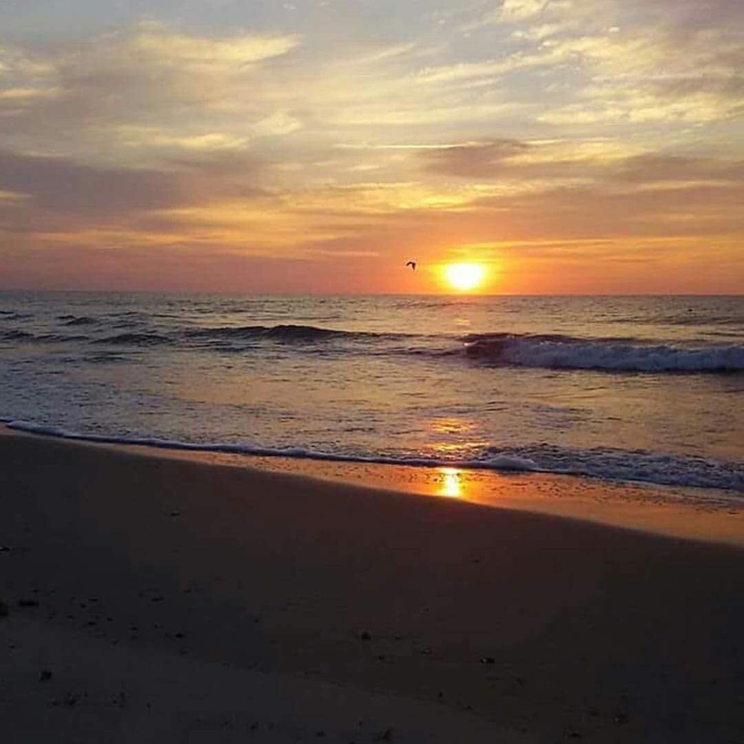 TigerLeadership's tweet photo. Good morning ๐ from the Jersey shore! ๐ด๐๐๐งก๐๐
#goodmorning #jerseyshore #ocnj #oceancity #beachwalk #sunrise #daveangelo #liveyourbestlife https://t.co/6FWkbuG3cI