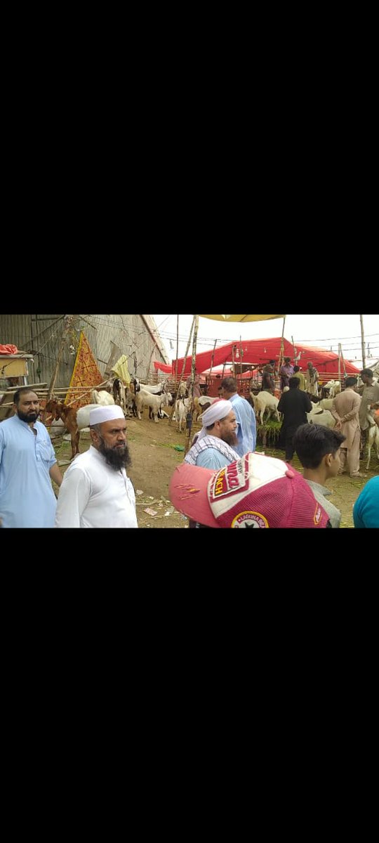 MAli56190693's tweet photo. جے یو آئی پی ایس 108کے ذمہ داروں کے ساتھ مویشی منڈی بکرہ پیڑی کادورہ بیوپاری سے ملاقات کی اور ان کے مساٸل کو سنا۔
۔
میرے ہمراہ پی ایس 108کے امیر مفتی اقبال۔ناظم عمومی عبدالحق مخلص۔ڈپٹی جنرل سیکرٹری مولاناضیإ الحق ۔یوسی 14کے امیرمحمدعلی اورمحمدنسیم بھی تھے۔
#JUI_Lyari
#PS_108 https://t.co/aWH0a82mXs