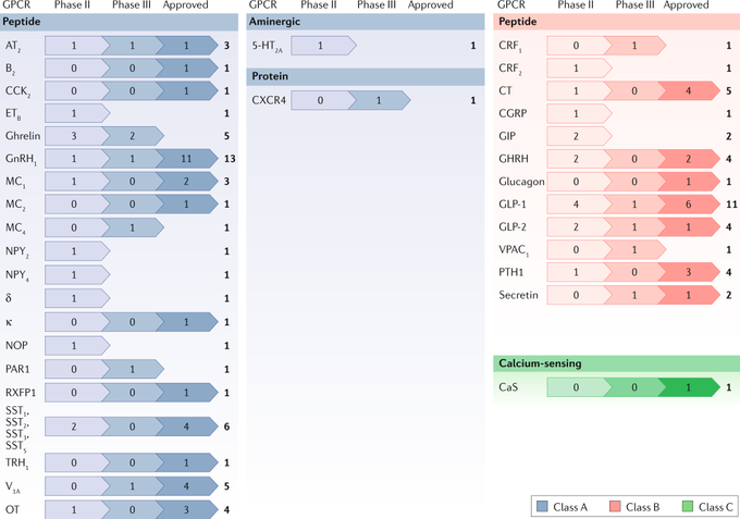 Advances in oral peptide therapeutics.
| Nature Reviews Drug Discovery |
rdcu.be/b5TNm
